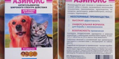 Миниатюра к статье Азинокс для человека от глистов, инструкция по применению, отзывы