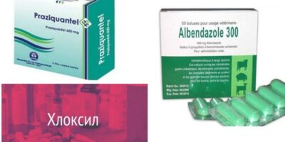 Миниатюра к статье Хлоксил для лечения паразитов, инструкция по применению, отзывы