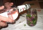Миниатюра к статье Как влияет водка на сосуды: расширение или сужение