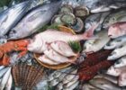 Миниатюра к статье Паразиты в рыбе опасные для человека