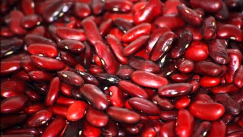 Миниатюра к статье Фасоль при диабете: простые и вкусные рецепты