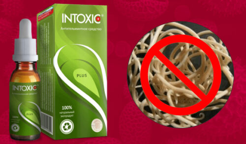 Миниатюра к статье Intoxic: инструкция по применению, реальные отзывы покупателей