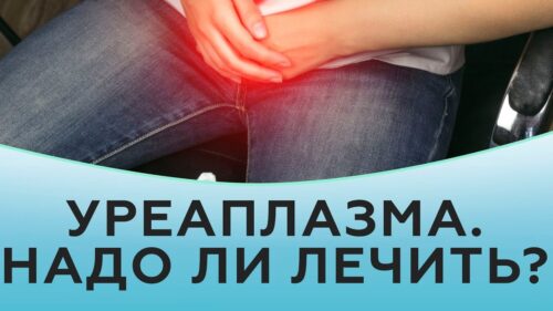 Миниатюра к статье Уреаплазмоз: причины появления, симптомы, тактика лечения