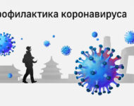Миниатюра к статье Профилактика коронавируса у человека 2020